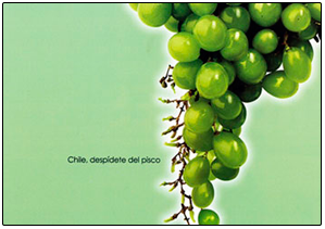 Racimo de uvas (Pisco peruano)